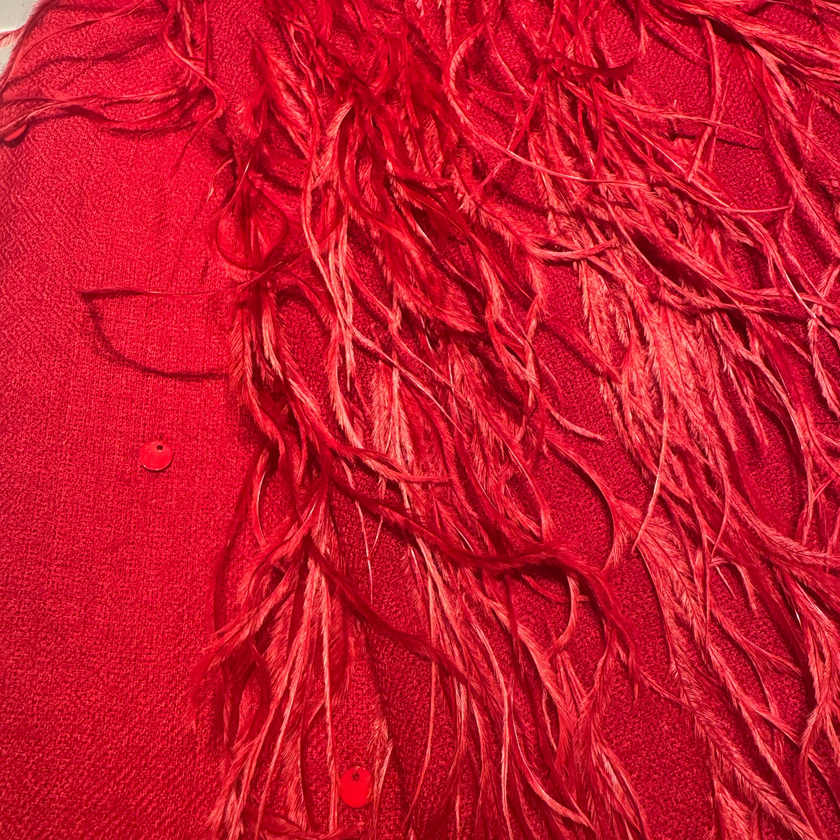 100% Cashmere Lux Ostriche Shawl