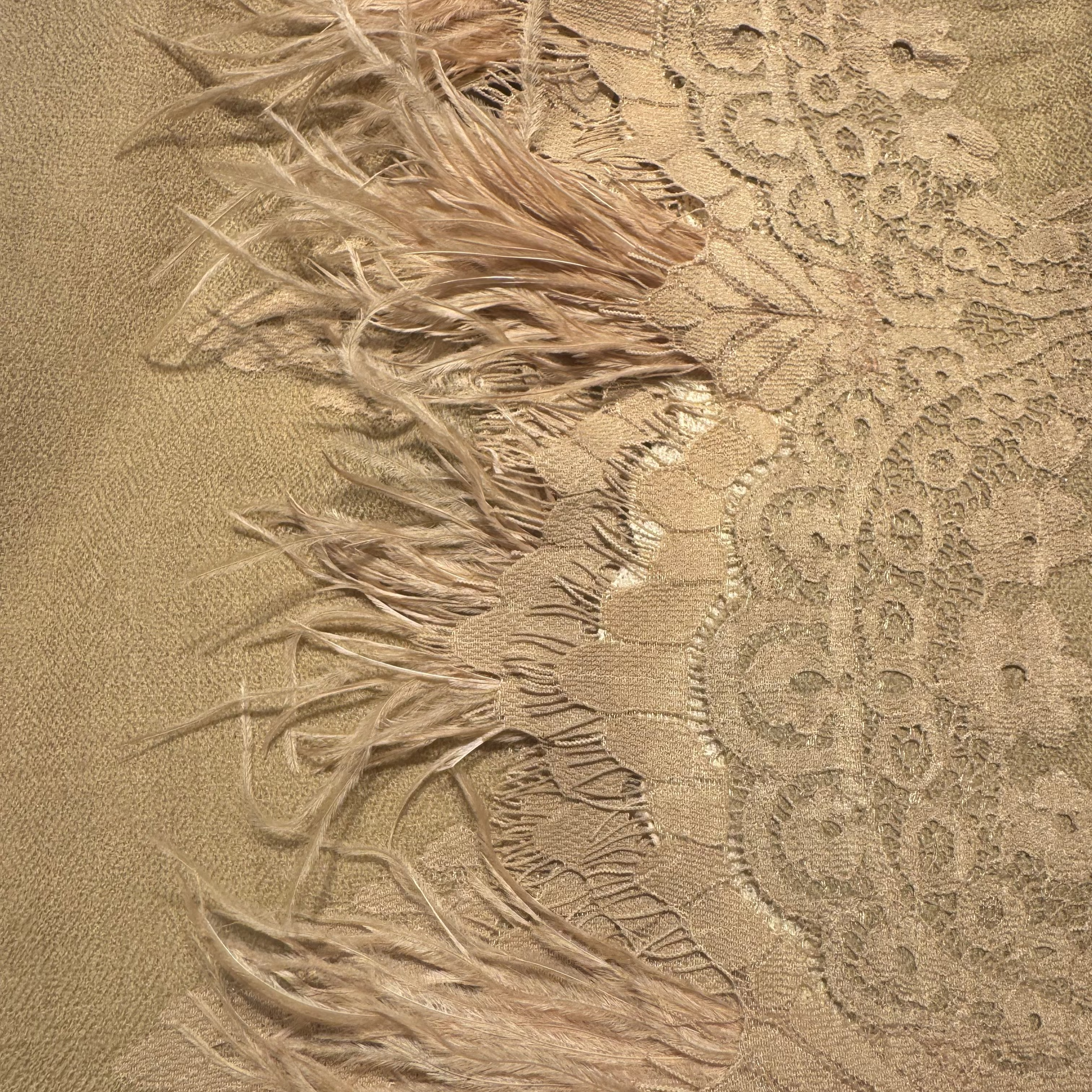 100% Cashmere Ostriche Feather Shawl