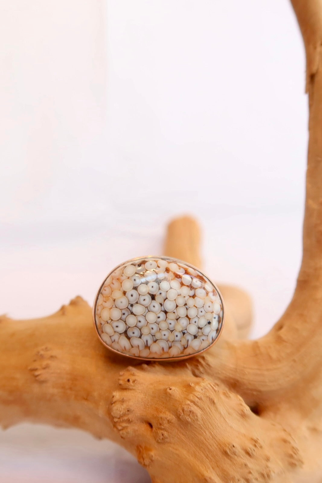 14k Snakeskin Agate Ring - Size 6.75