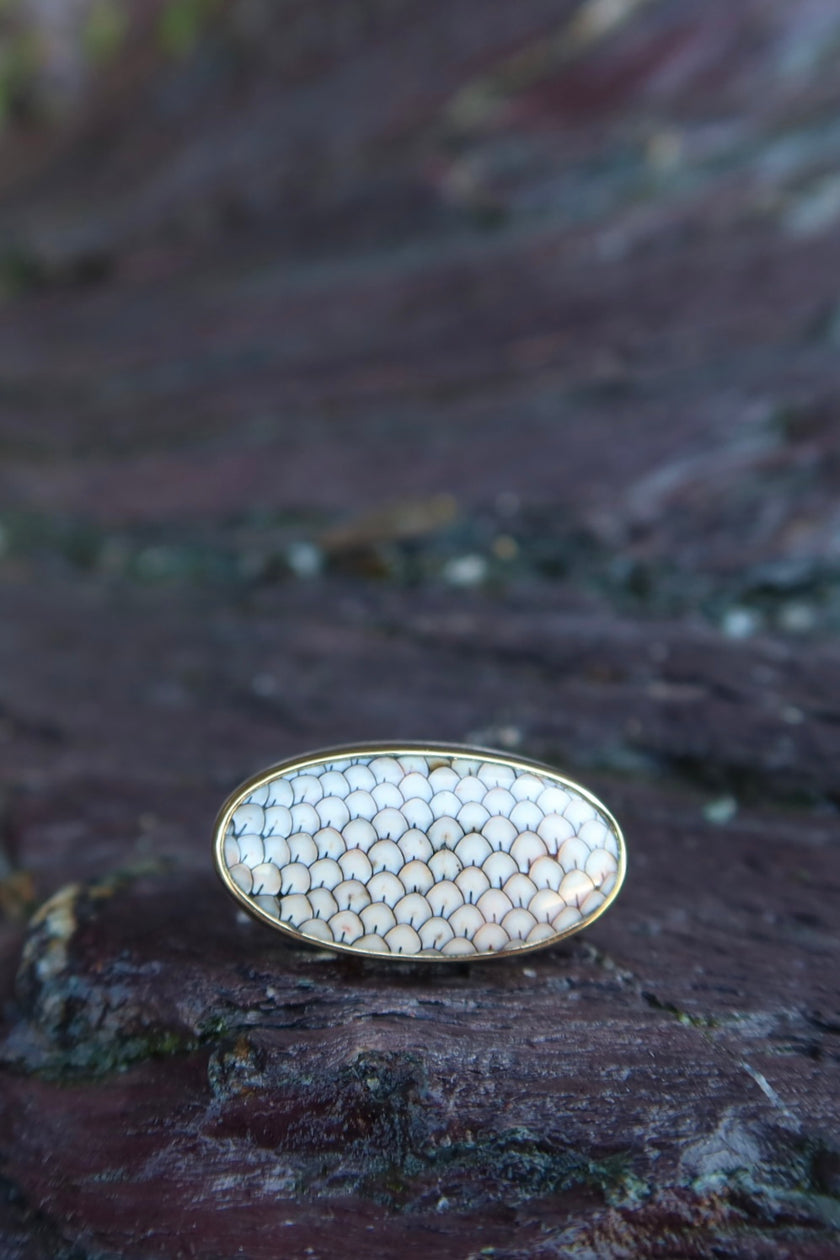 14k Oval Snakeskin Agate Ring - Size 7