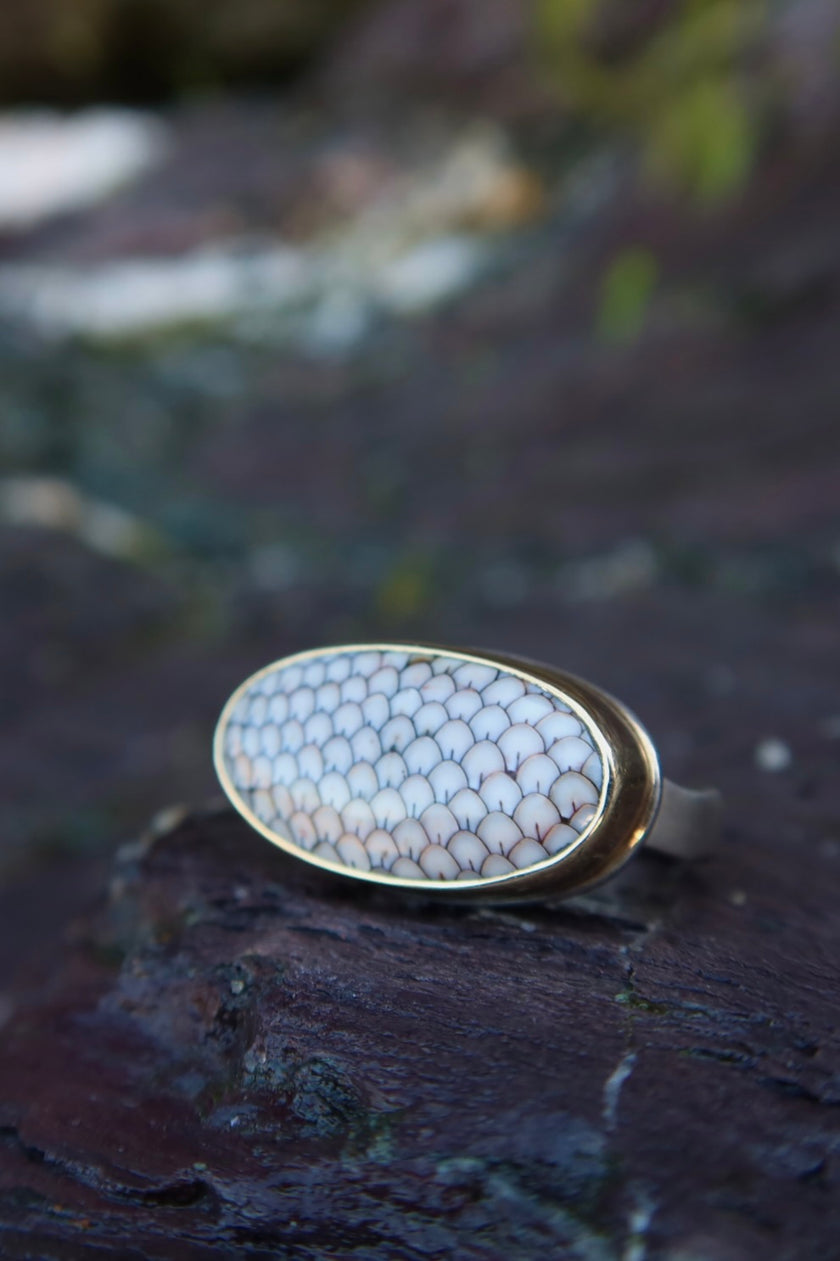 14k Oval Snakeskin Agate Ring - Size 7
