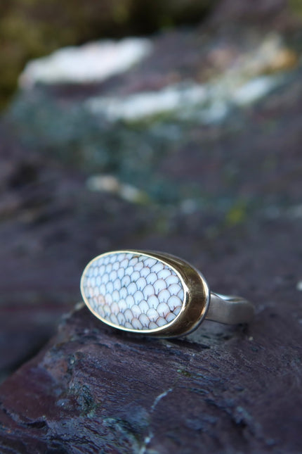 14k Oval Snakeskin Agate Ring - Size 7
