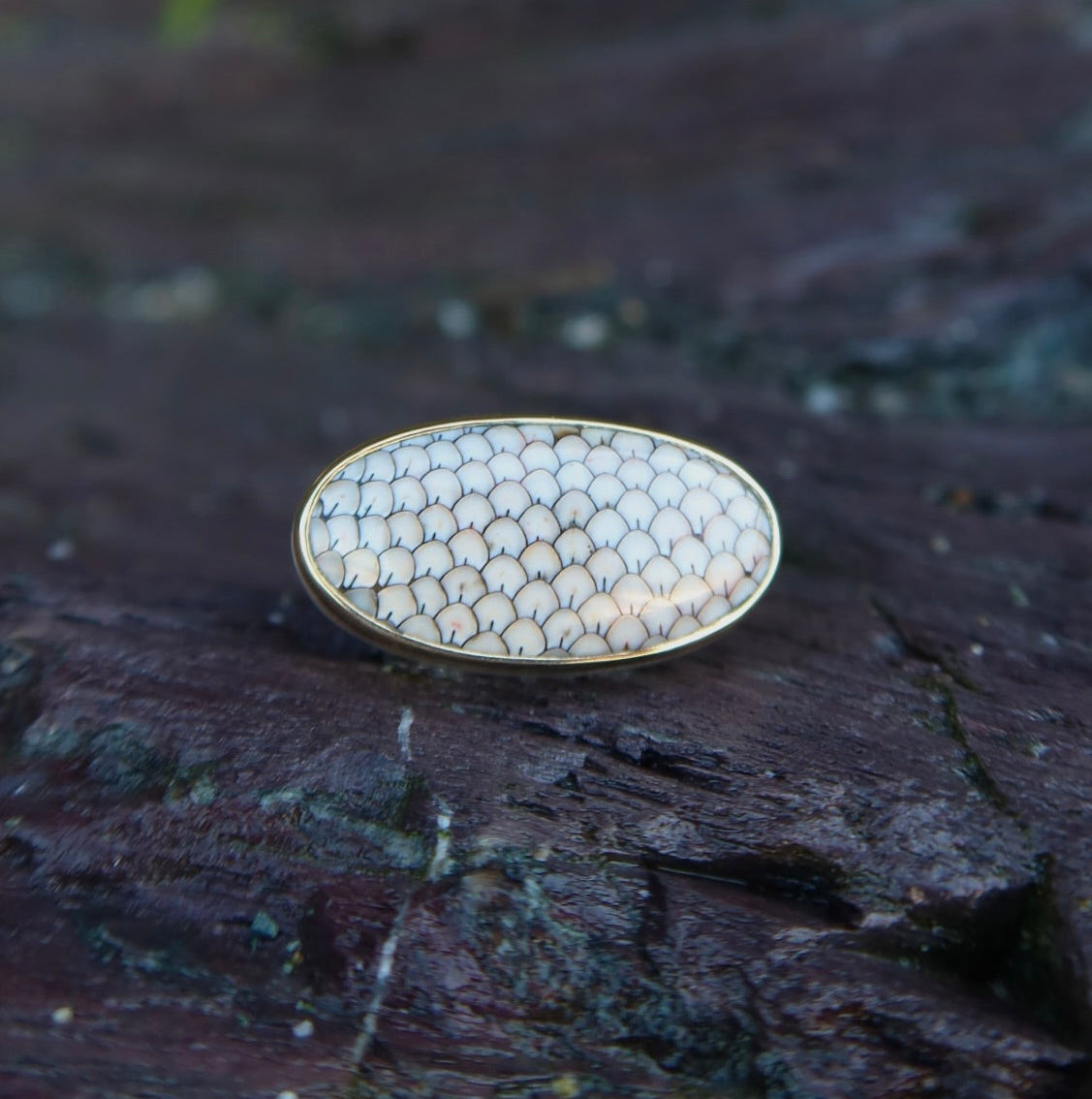 14k Oval Snakeskin Agate Ring - Size 7